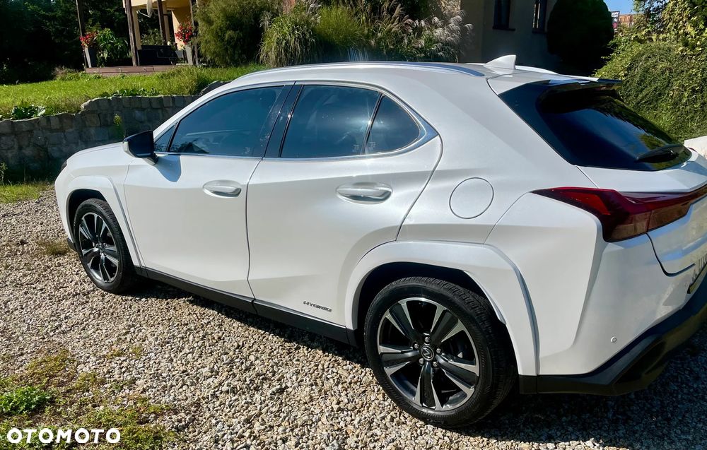 Lexus UX - 5