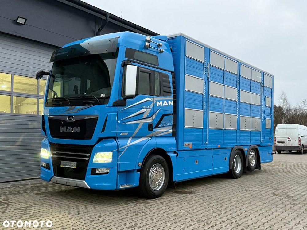 MAN TGX 26.540 // E6 // Zabudowa PEZZAIOLI // 3 poziomy hydraulika, podnoszony dach, rampa hydrauliczna // do żywca, do bydła, do transportu zwierząt - 4