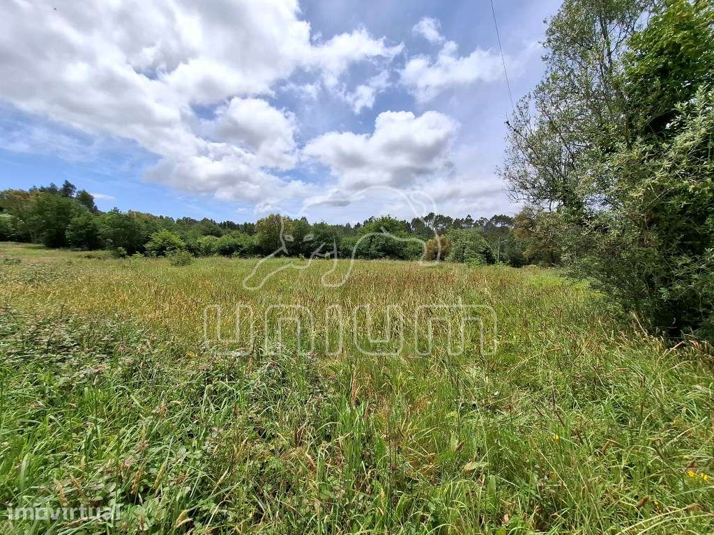 Terreno para venda na Montaria - Grande imagem: 4/5