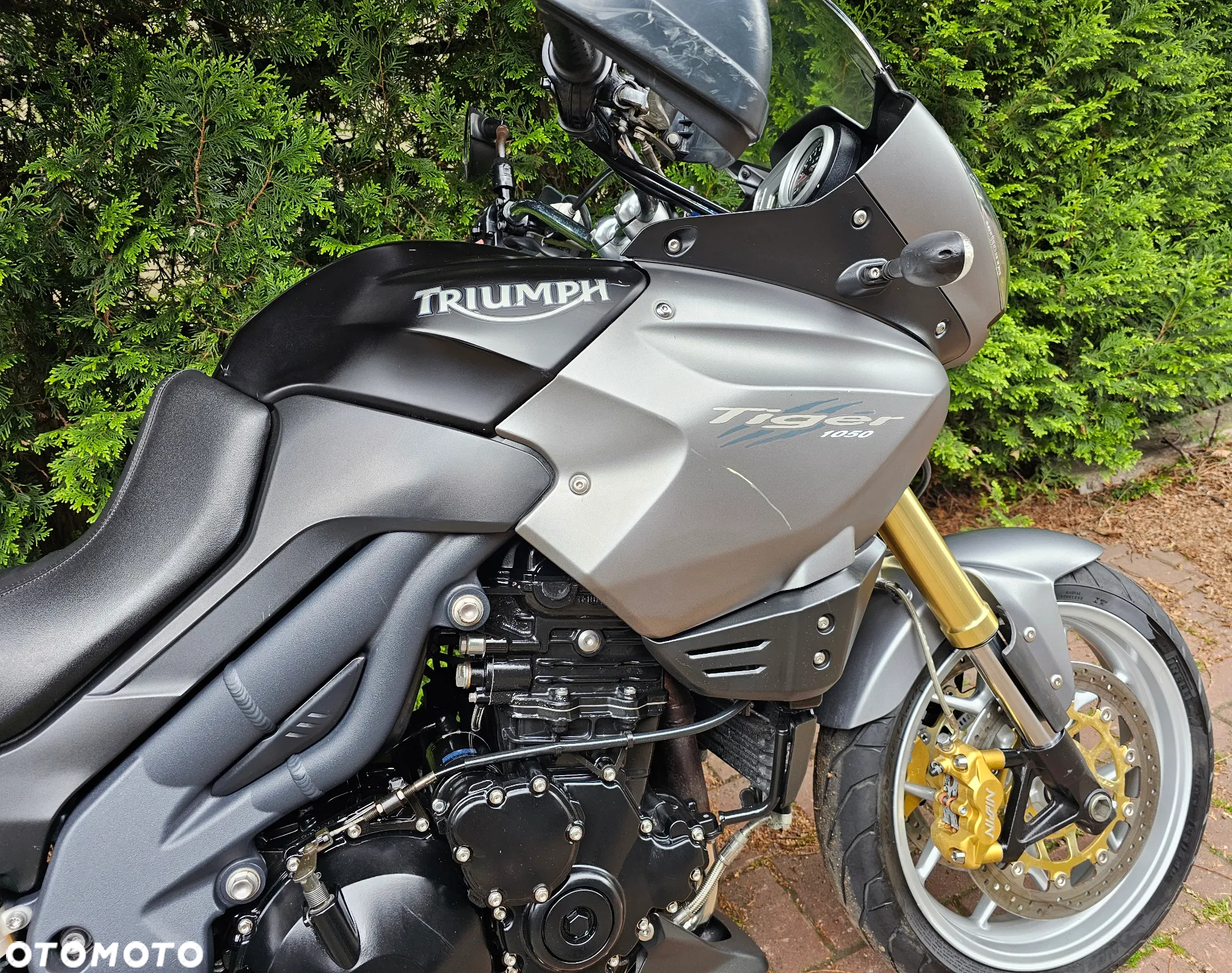 Triumph Tiger - 5