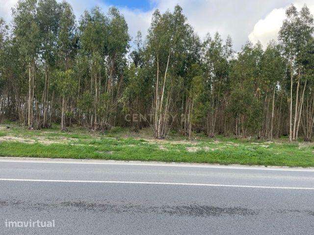 Terreno de 8520 m2 sito na Baixa da Atalaia - Alcochete - Grande imagem: 3/6