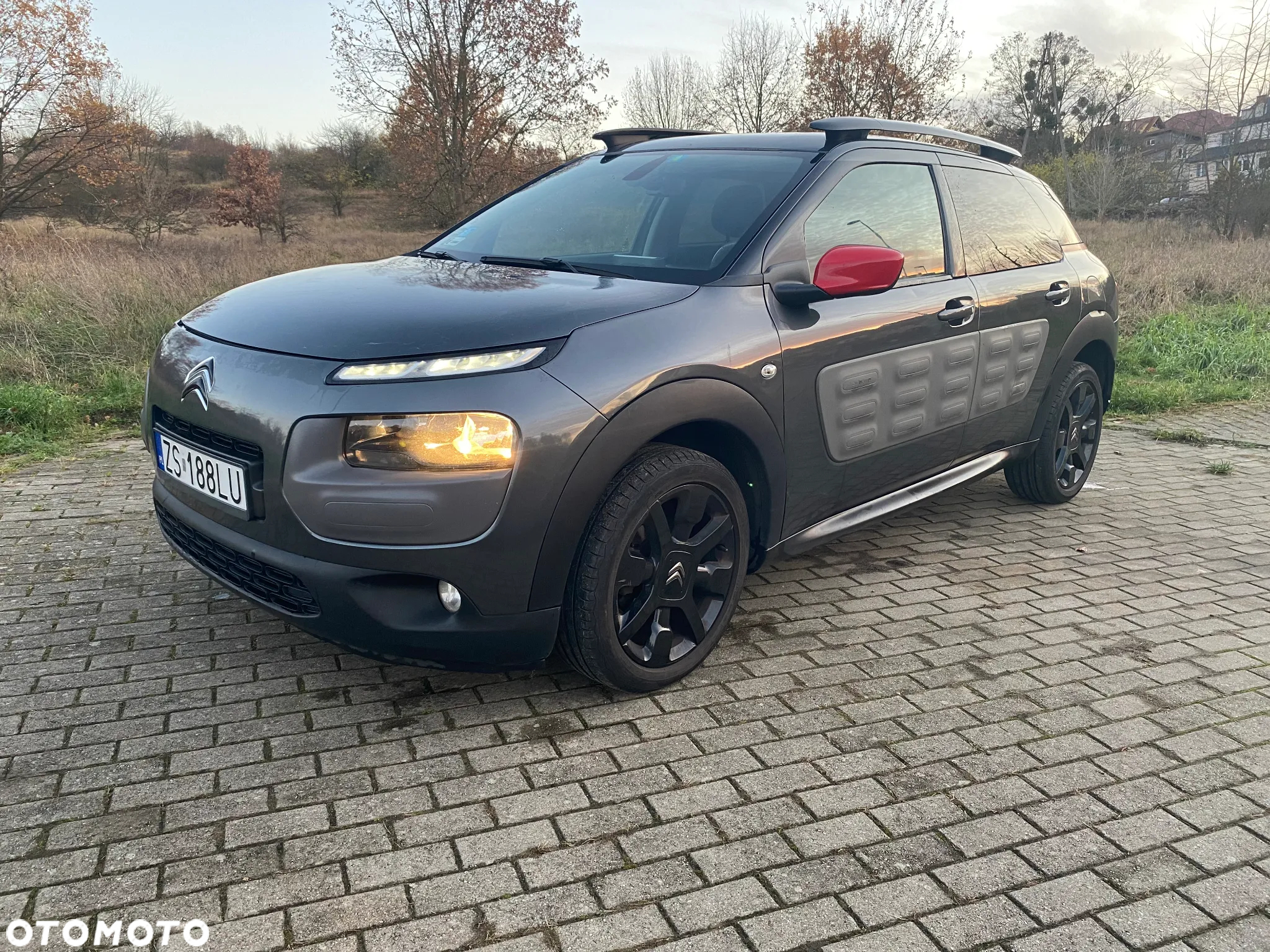 Citroën C4 Cactus 1.6 Blue HDi Shine - 3