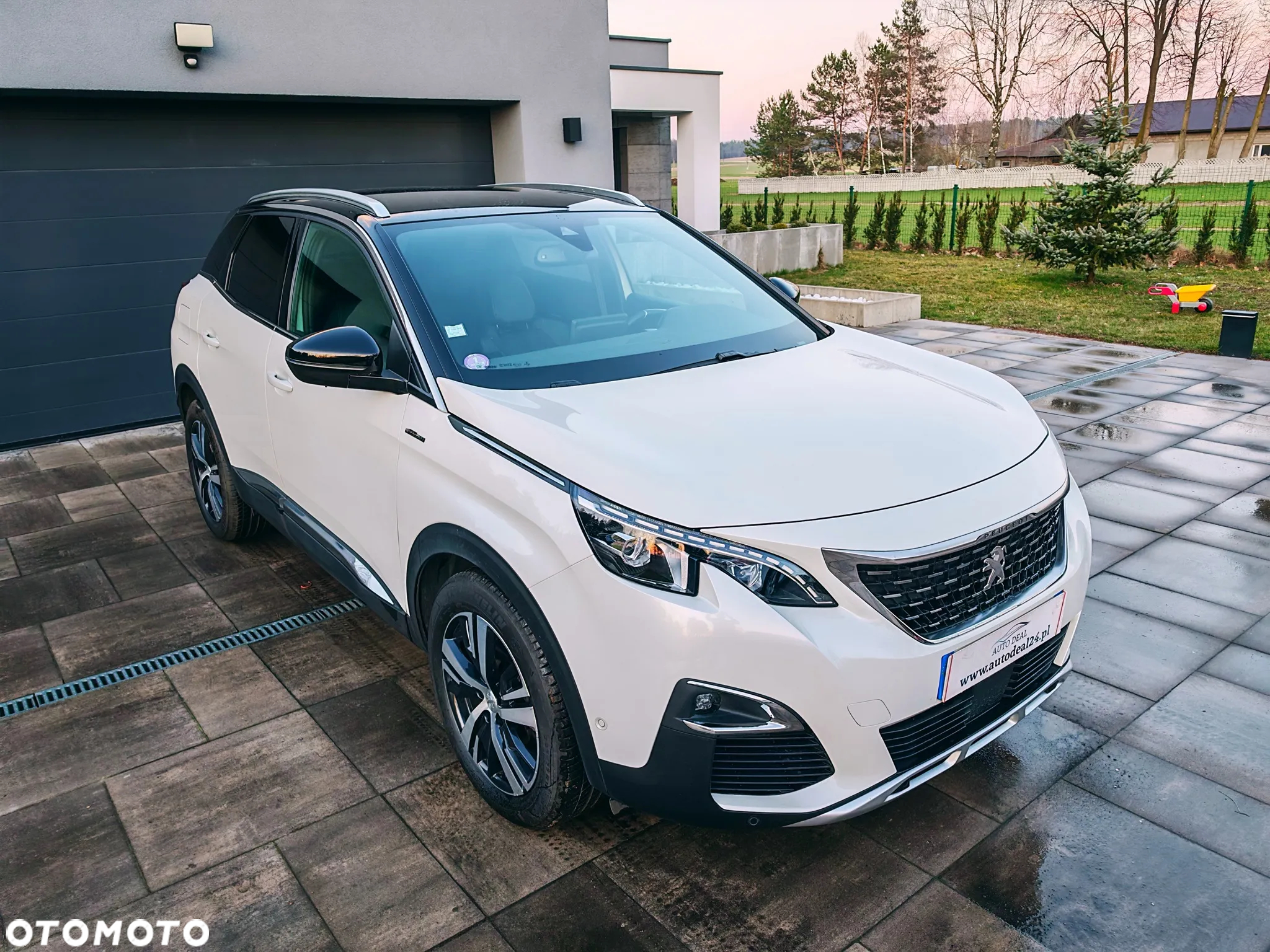 Peugeot 3008 - 17