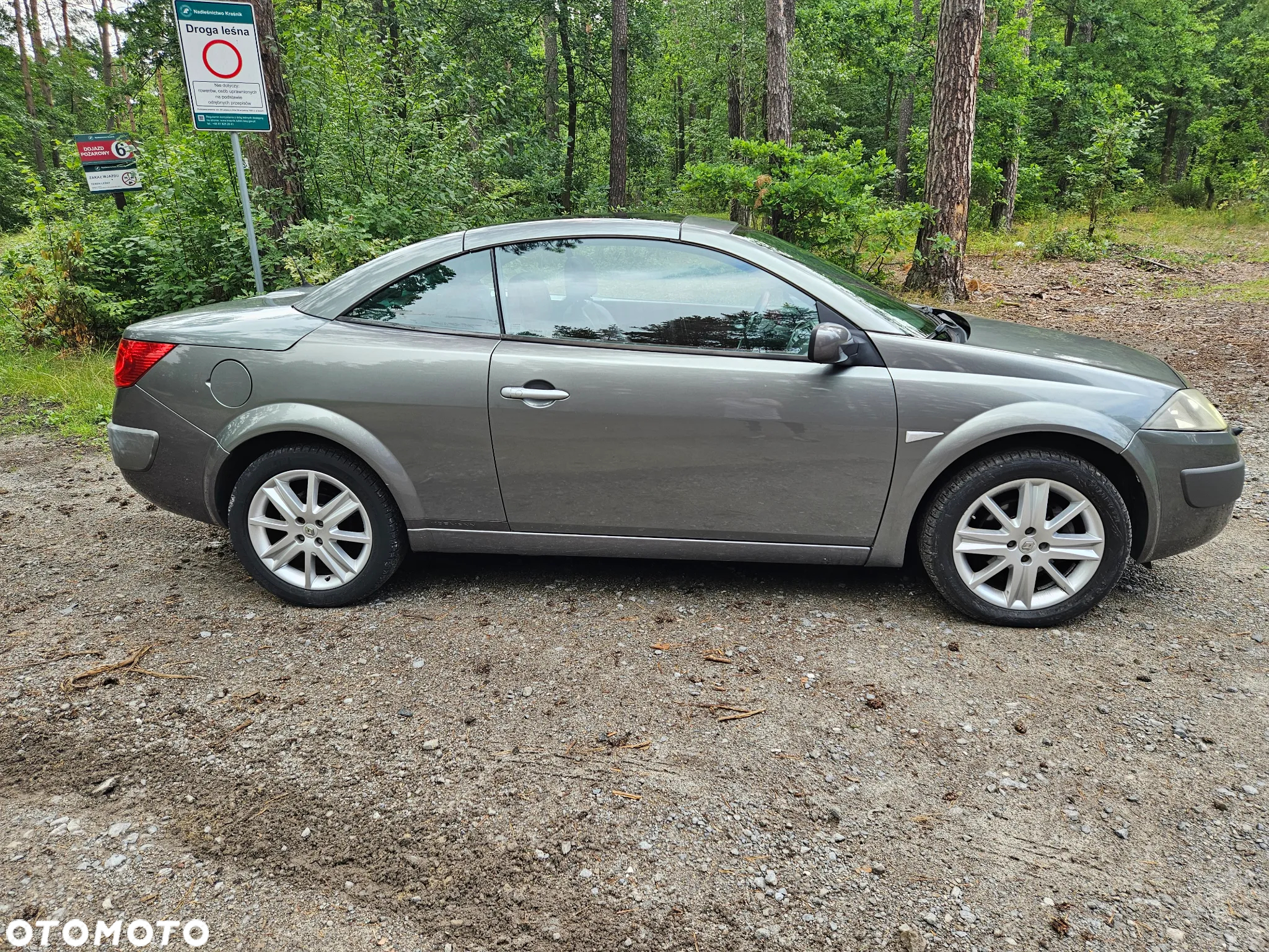 Renault Megane CC 2.0 16V Privilege - 12
