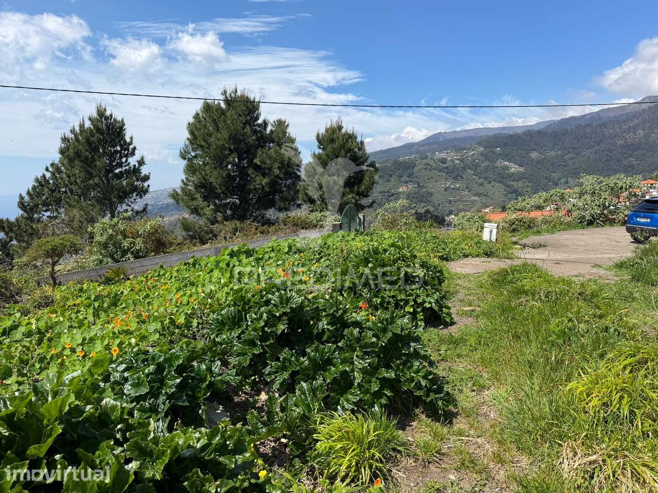 Terreno Urbanizável em São João Ribeira Brava - Grande imagem: 4/9