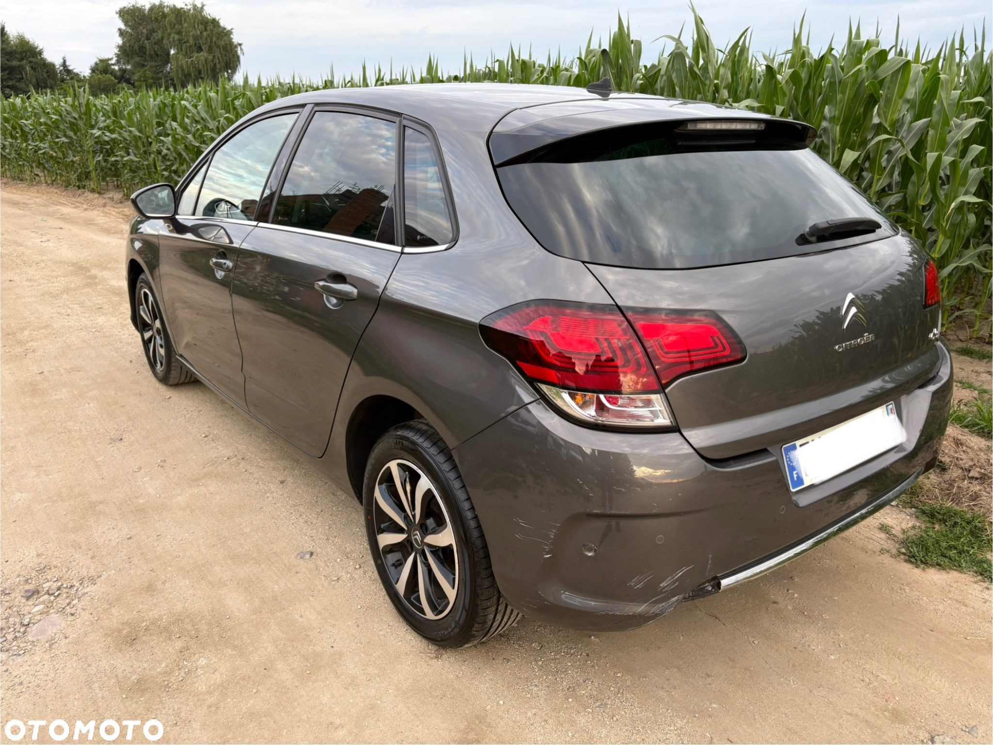 Citroën C4 BlueHDi 120 Stop&Start Shine - 11
