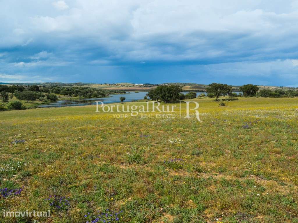 Herdade com 14 hectares na região do Alandroal - Grande imagem: 3/22