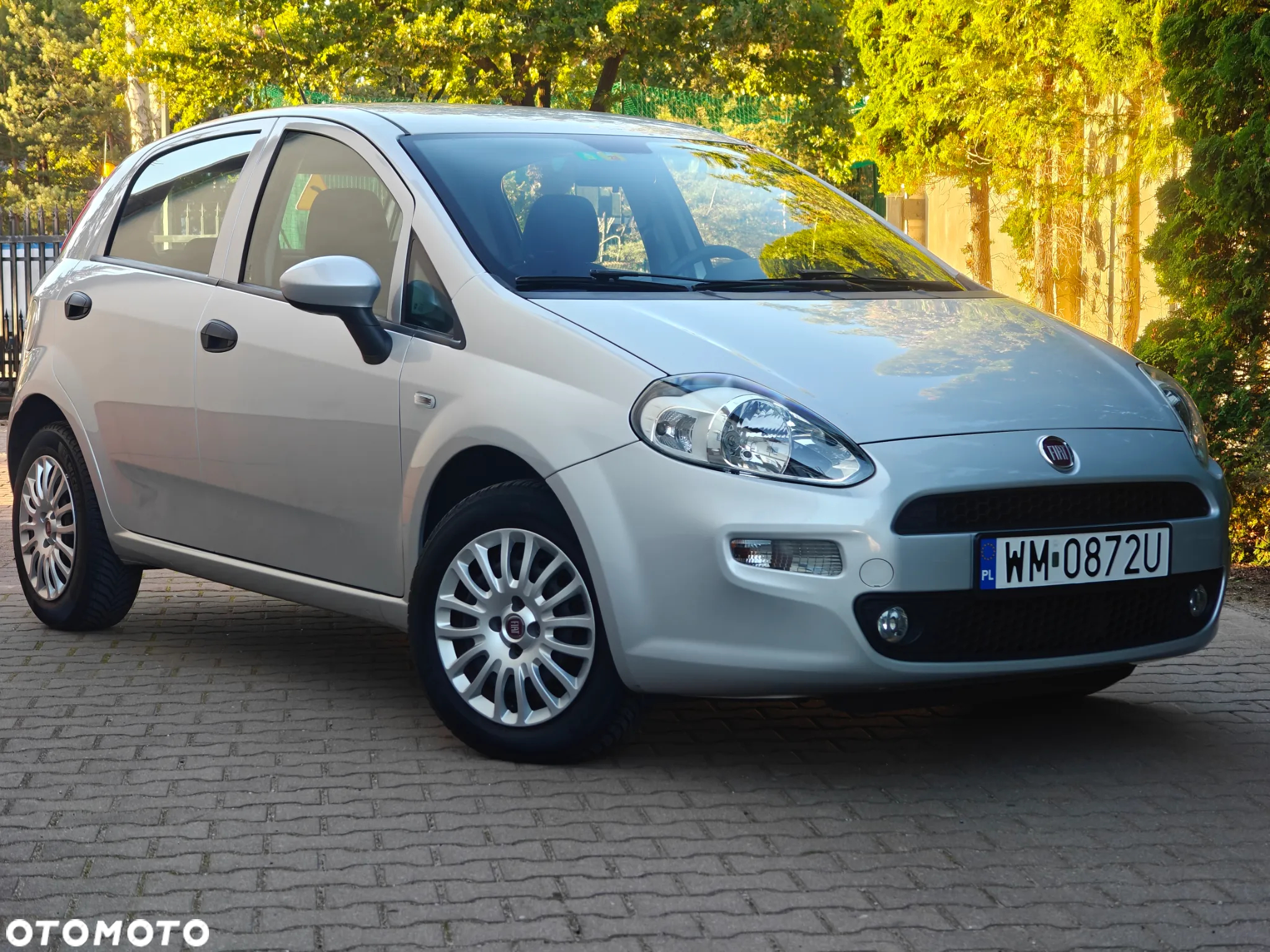 Fiat Punto - 12