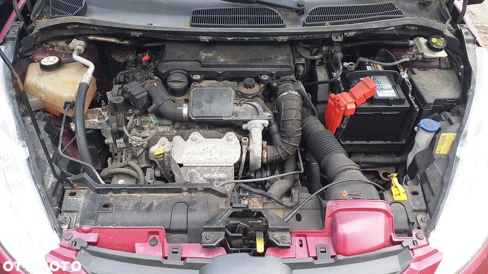 Na części Ford Fiesta MK7 3D 1.4 TDI lak. M9 skrzynia biegów zderzak maska drzwi klapa fotele kanapa błotnik lampa lusterko - 10