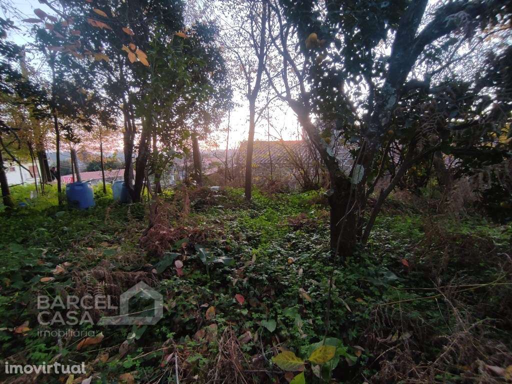 Terreno de construção em Mariz - Barcelos - Grande imagem: 5/8