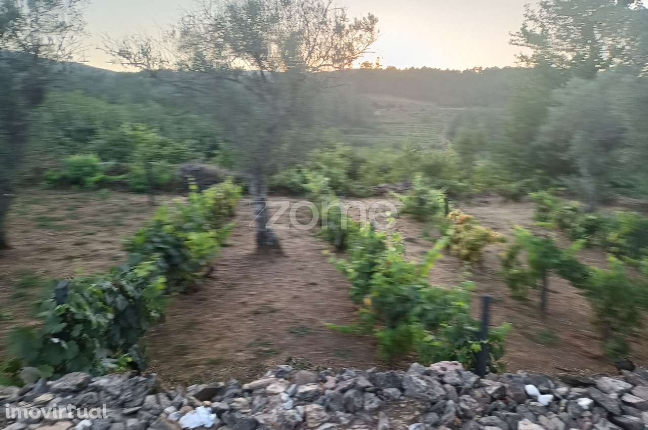 Construção rural em granito com potencial de ampliação e remodelaçã... - Grande imagem: 5/8