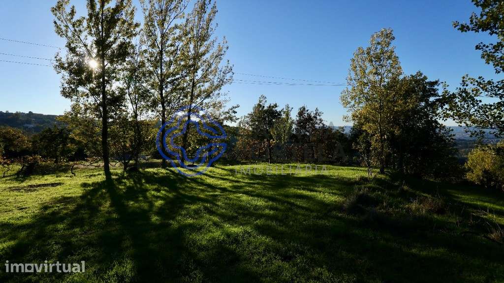Terreno Agrícola em Telhe - Soalhães - Marco de Canaveses - Grande imagem: 5/10