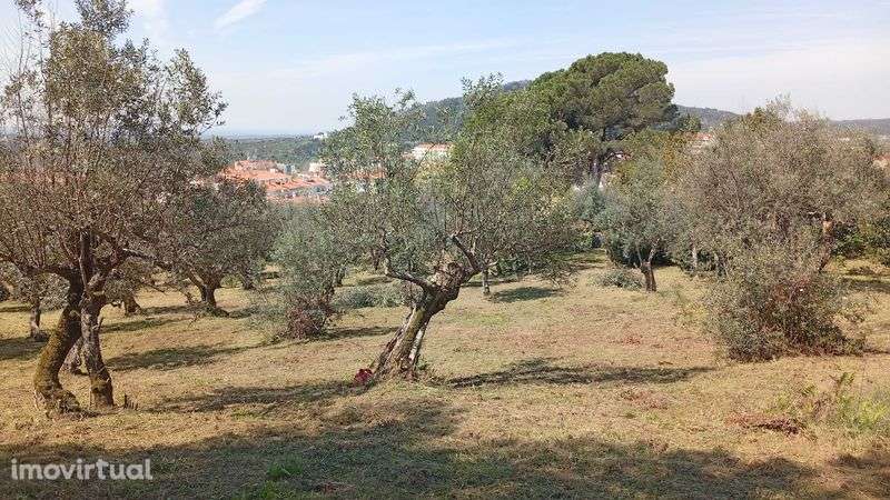 Terreno para construção - Grande imagem: 2/8