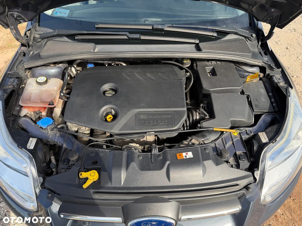 Ford Focus - 21