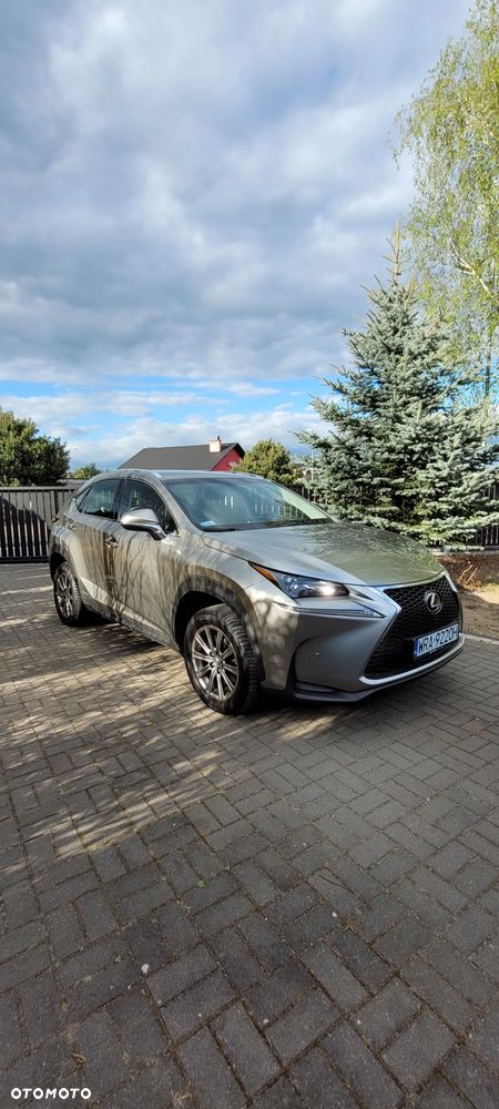 Lexus NX 300h Elite AWD - 4