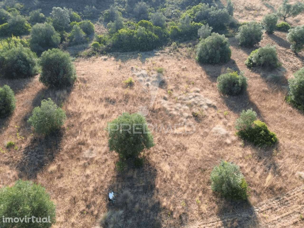 Terreno Rústico com 3.340 m² – Troviscal, Alcanena - Grande imagem: 3/24