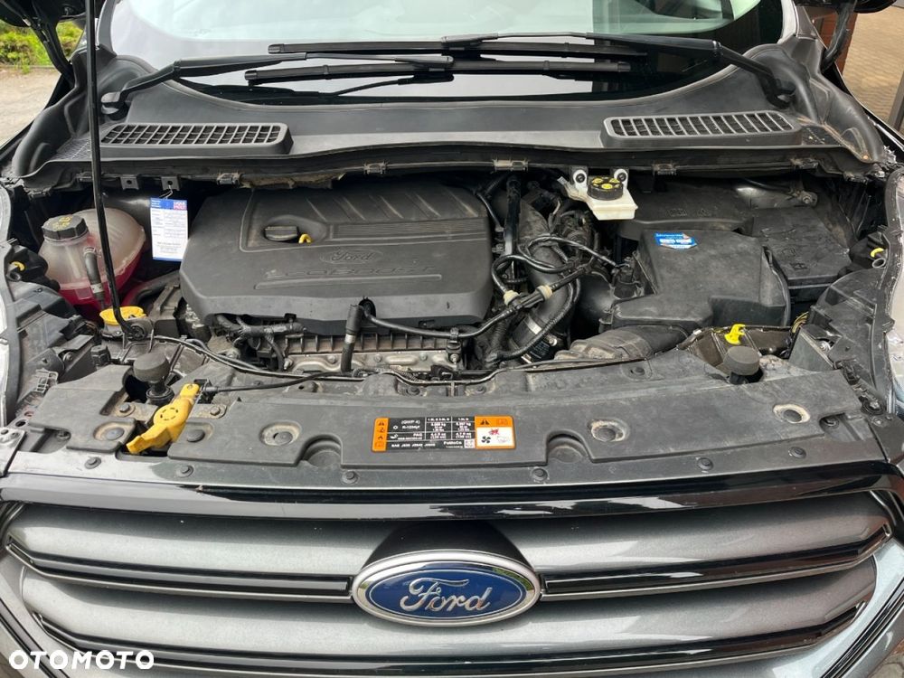 Ford Kuga 1.5 EcoBoost 4x4 Business Edition - 32
