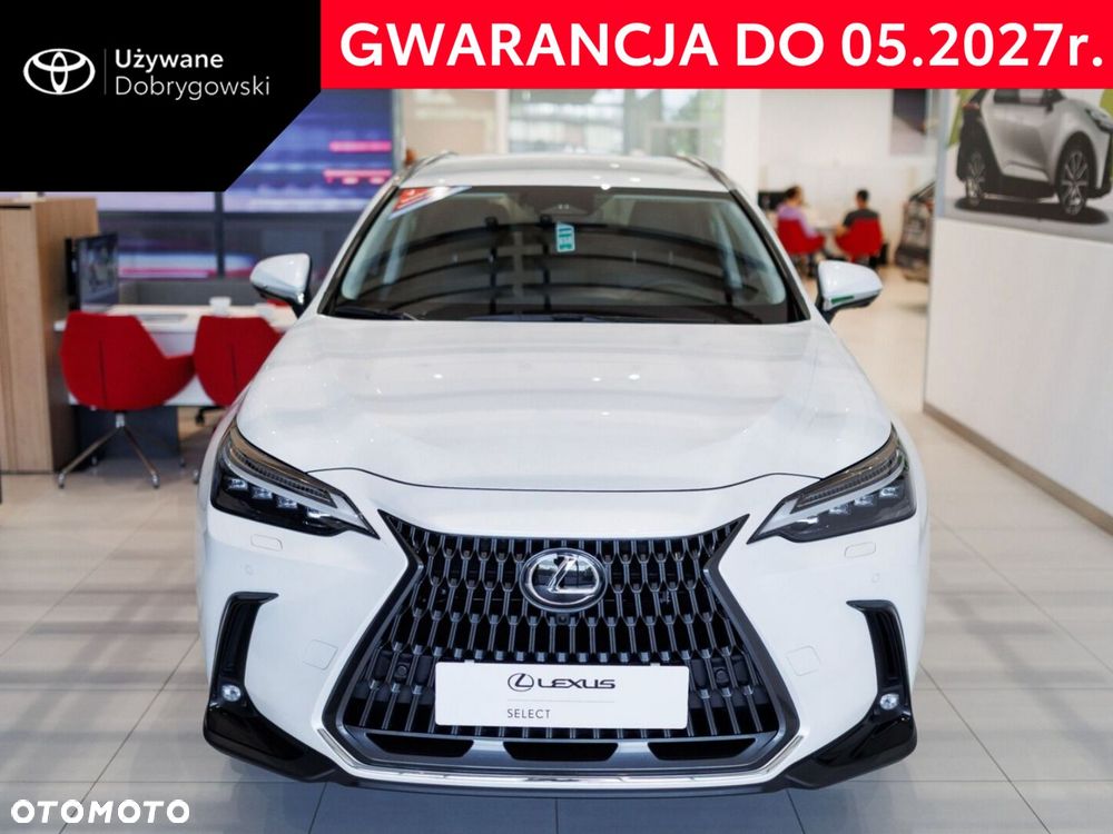 Lexus NX 450h+ Omotenashi AWD - 2