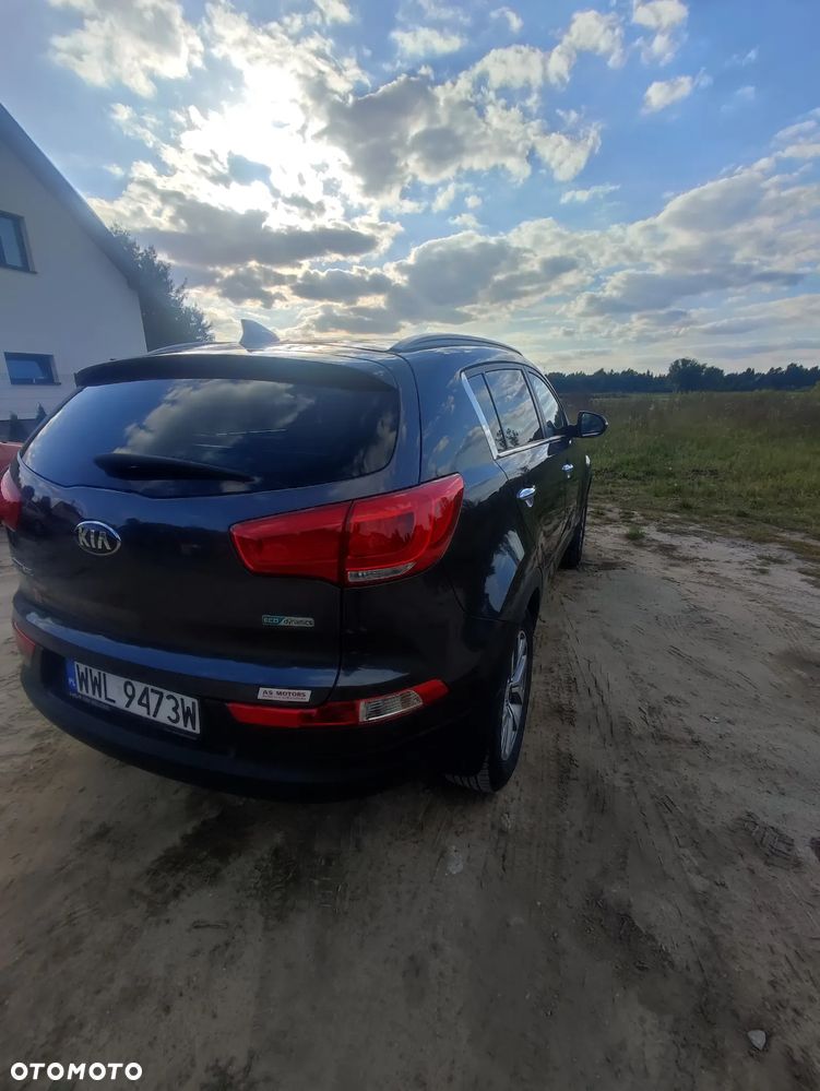 Kia Sportage - 25