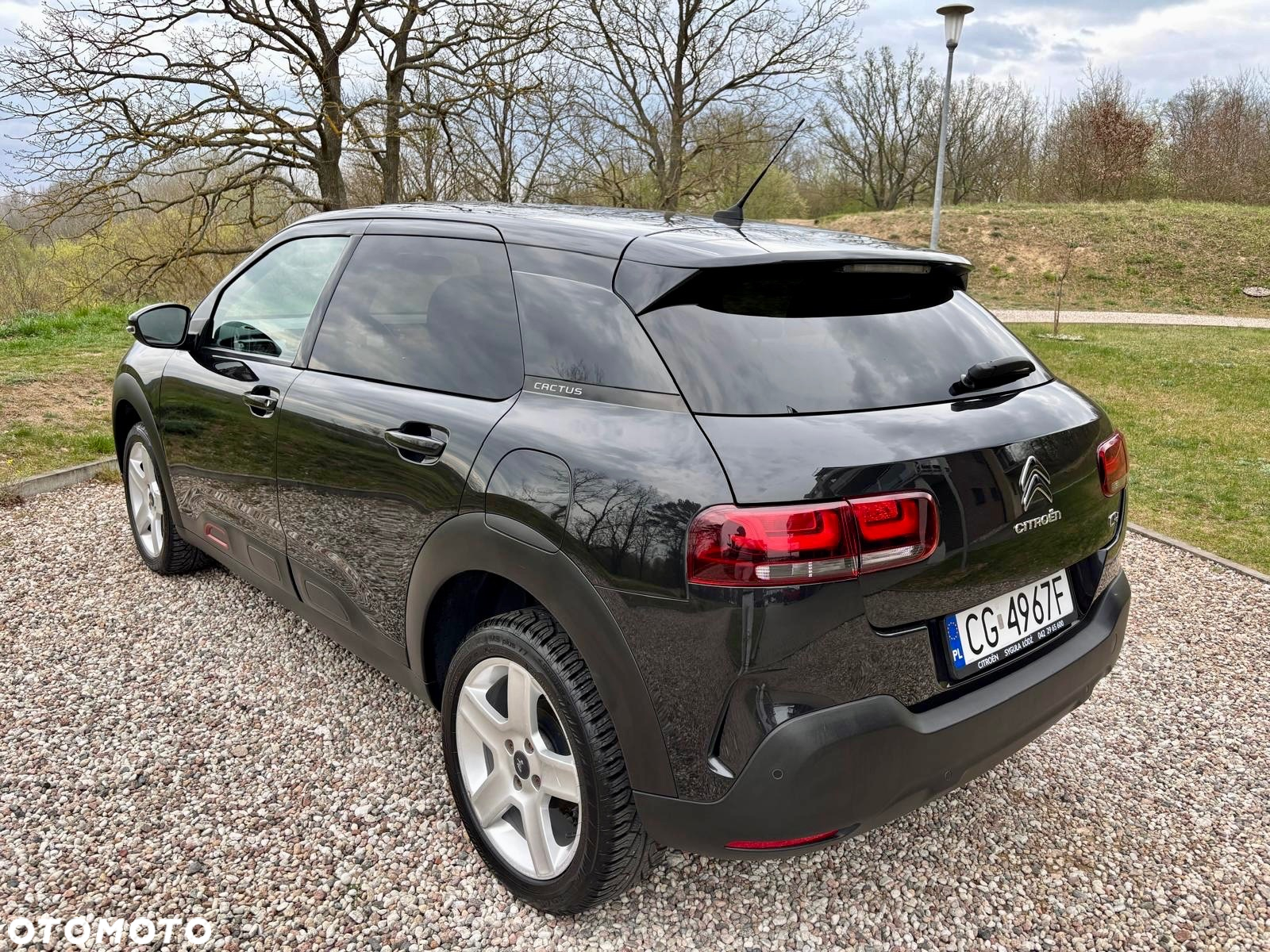 Citroën C4 Cactus 1.2 PureTech Feel Edition S&S - 17