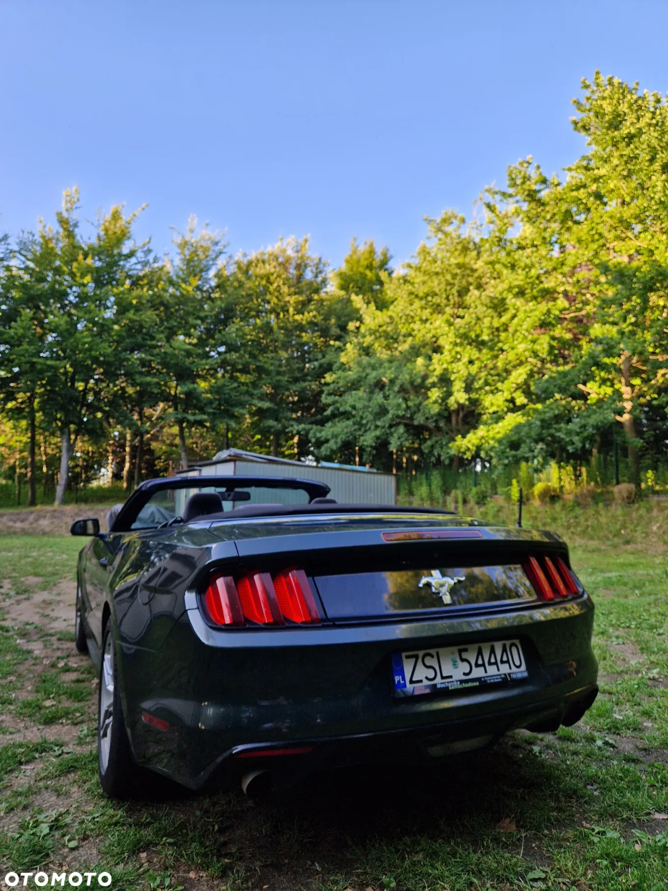 Ford Mustang 3.7 V6 - 7