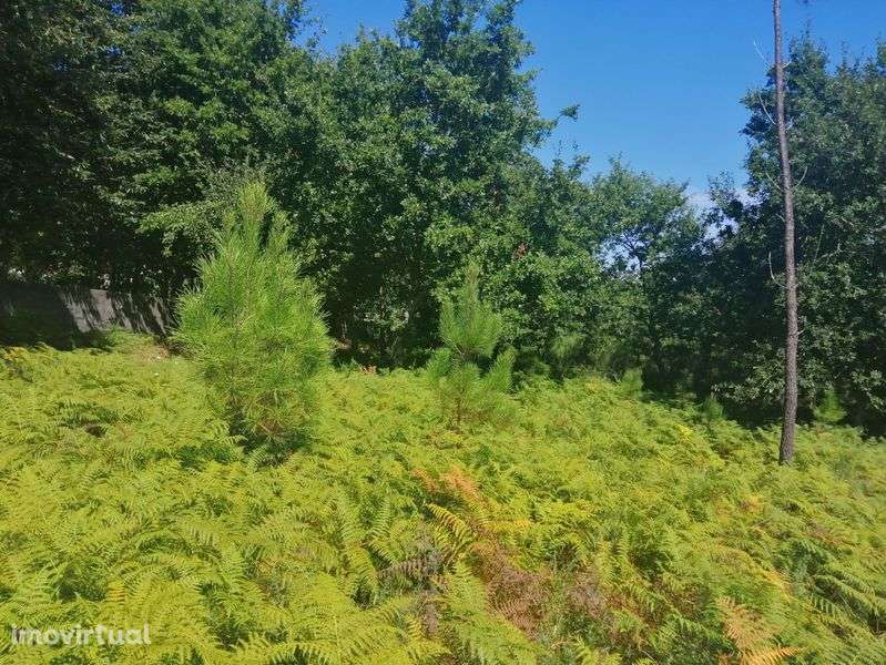 Terreno para construção - Grande imagem: 5/8