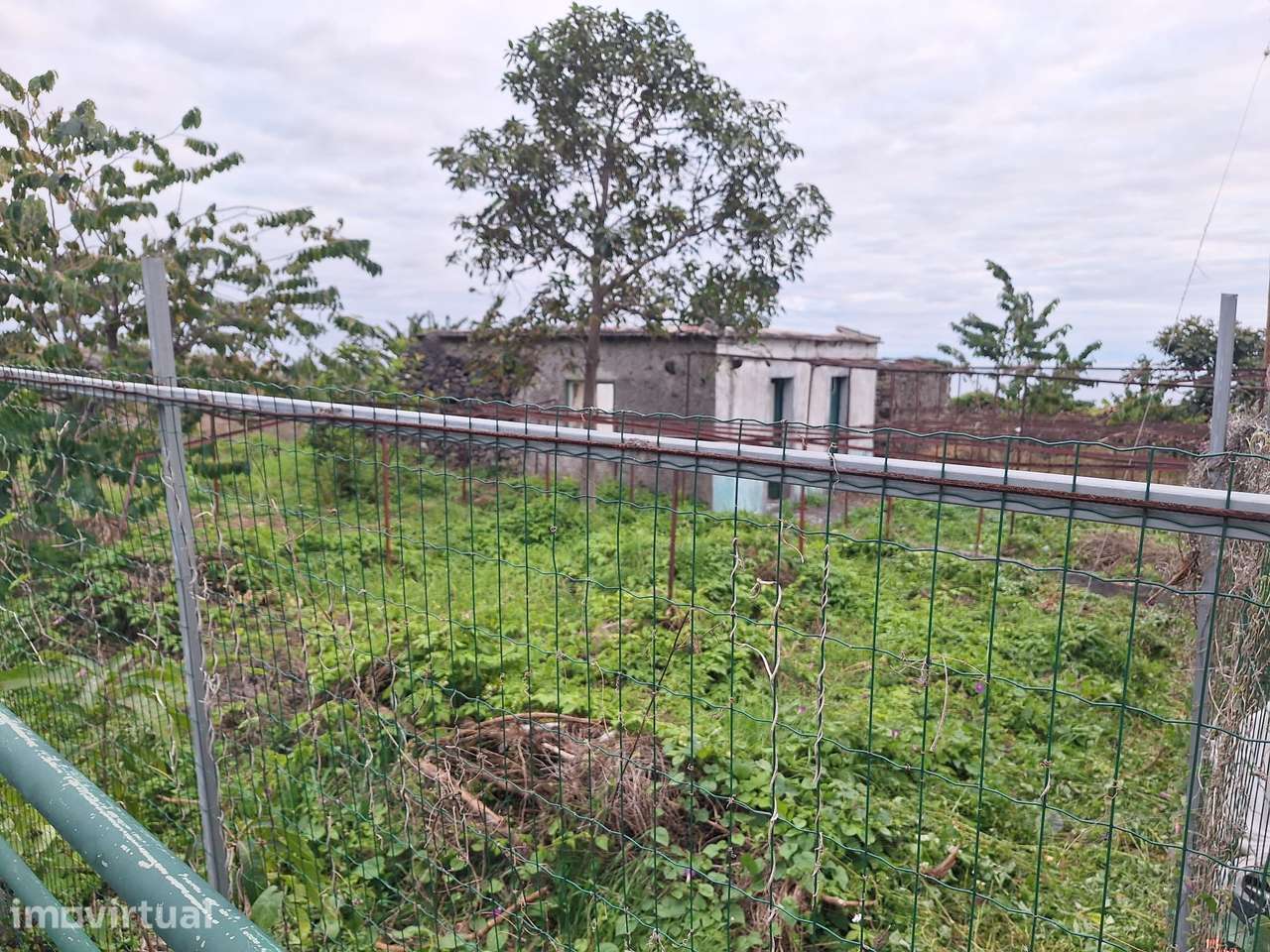 Moradia em ruinas no Arco da Calheta - Grande imagem: 2/2