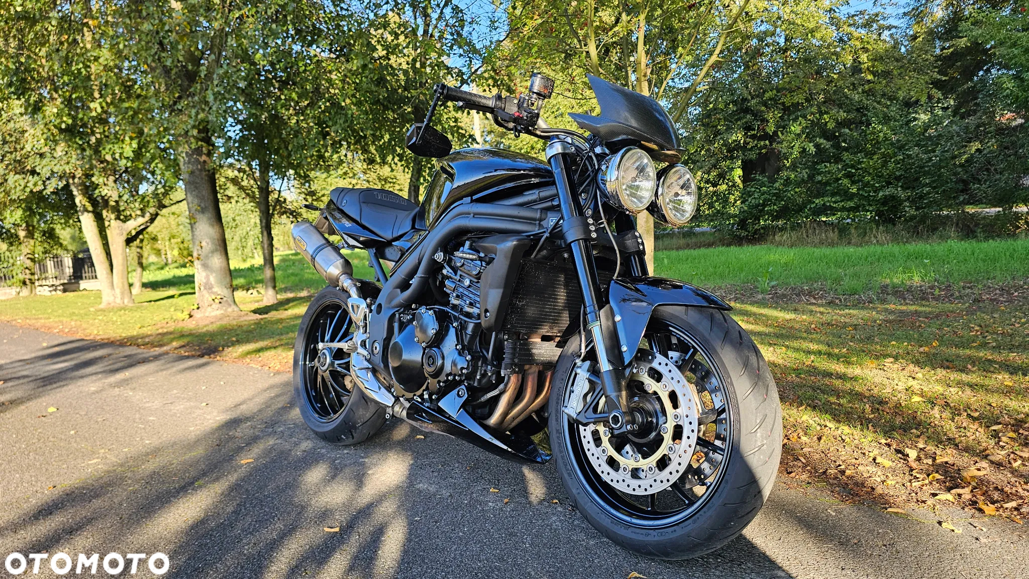 Triumph Speed Triple - 10