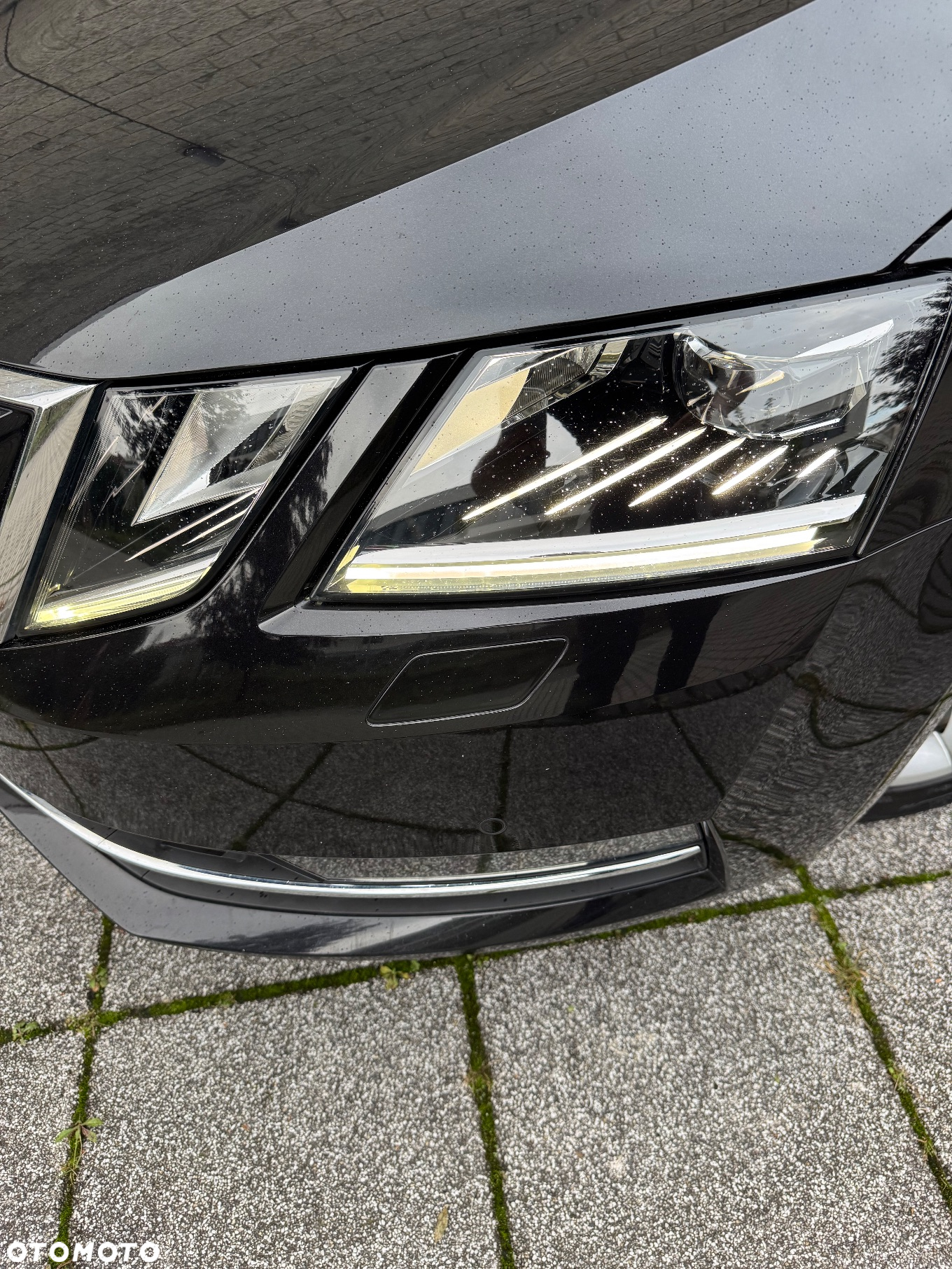Skoda Octavia 1.4 TSI Style - 19