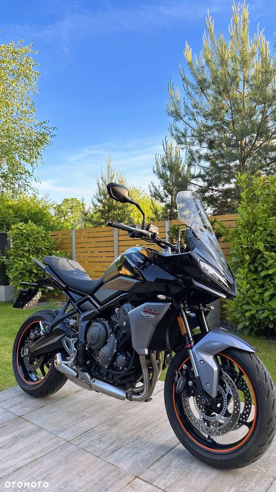 Triumph Tiger - 11