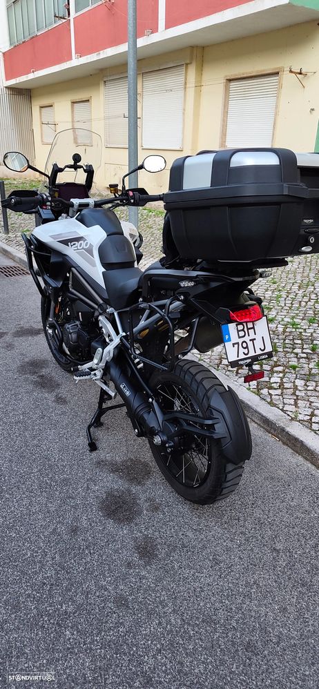 Triumph Tiger Rally Pro - 9