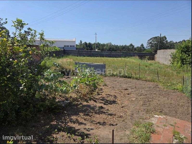 TERRENO LAUNDOS 800m2 + casinha pra restauro - Grande imagem: 2/5