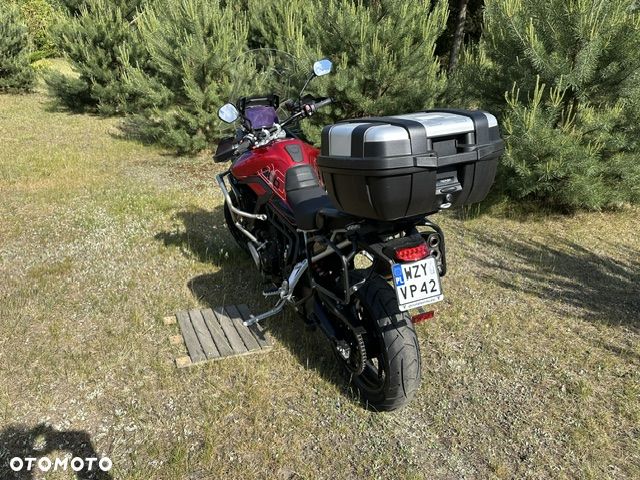 Triumph Tiger - 6