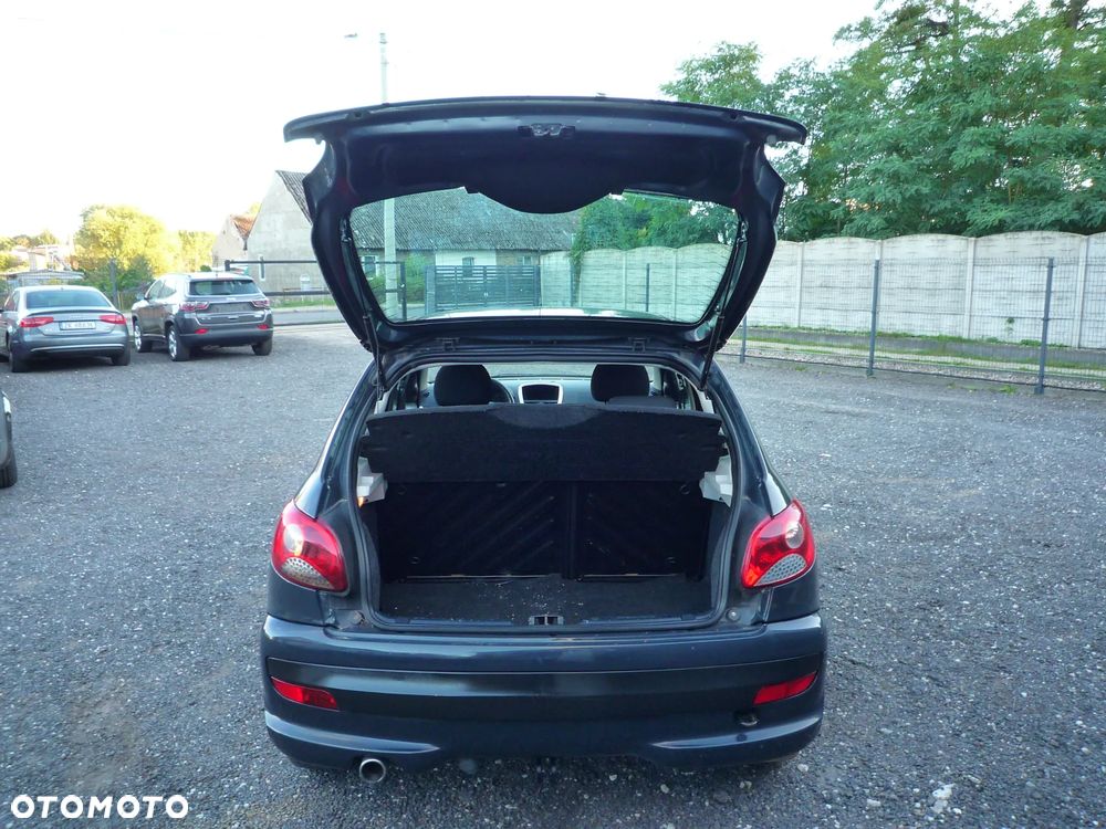 Peugeot 206 plus 60 - 25