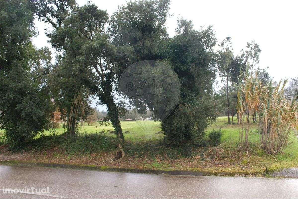 Terreno  para venda - Grande imagem: 4/12