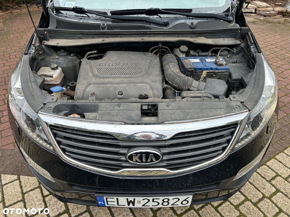 Kia Sportage - 40