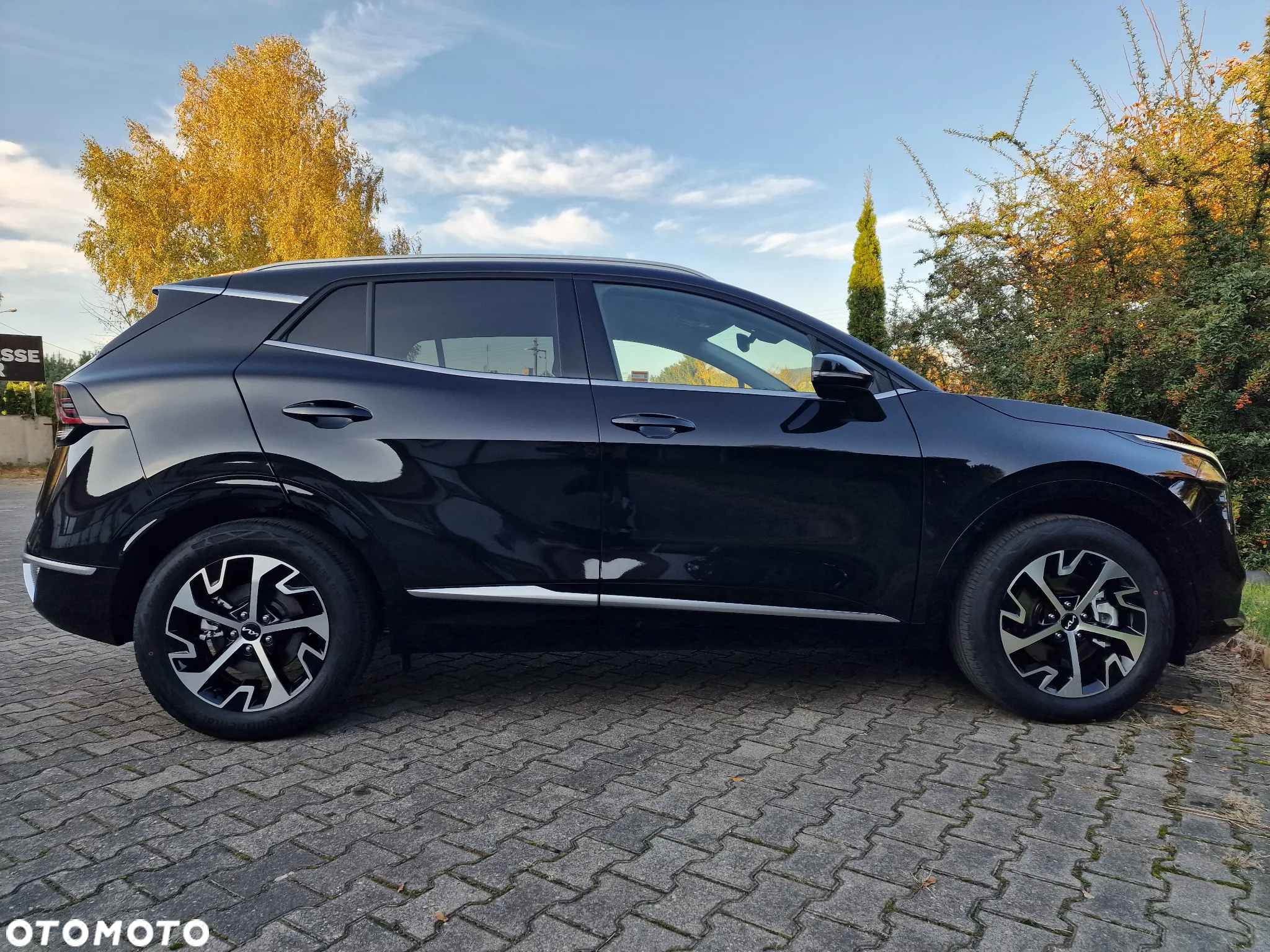 Kia Sportage 1.6 T-GDI Business Line 2WD DCT - 9