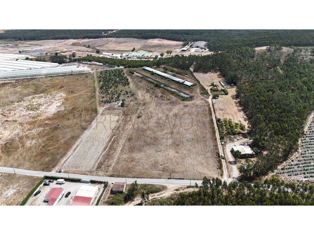 Terreno Industrial , Torres Vedras - 50.000 m2 - Grande imagem: 2/3