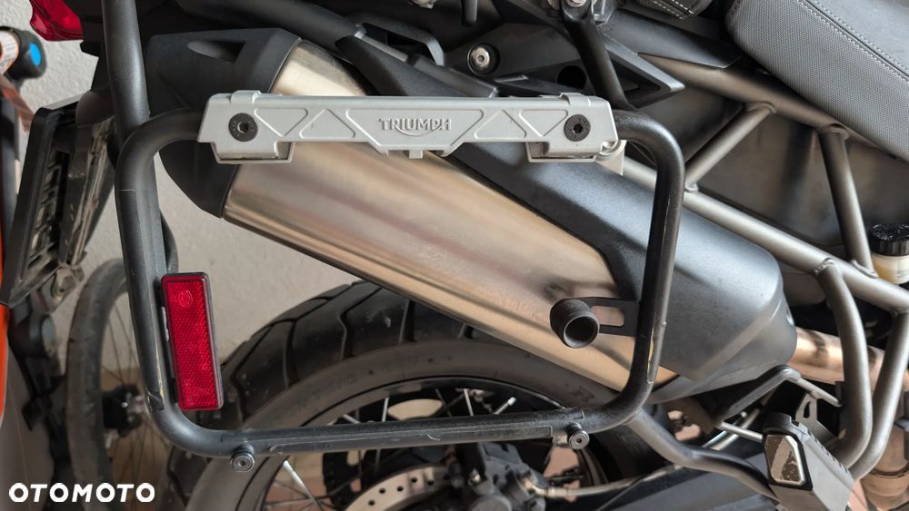 Triumph Tiger - 17