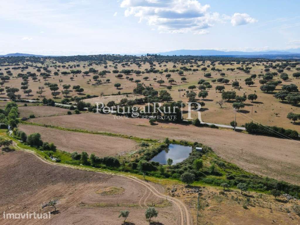 Herdade com 72 ha com possibilidade para regadio na região de Caste... - Grande imagem: 4/46