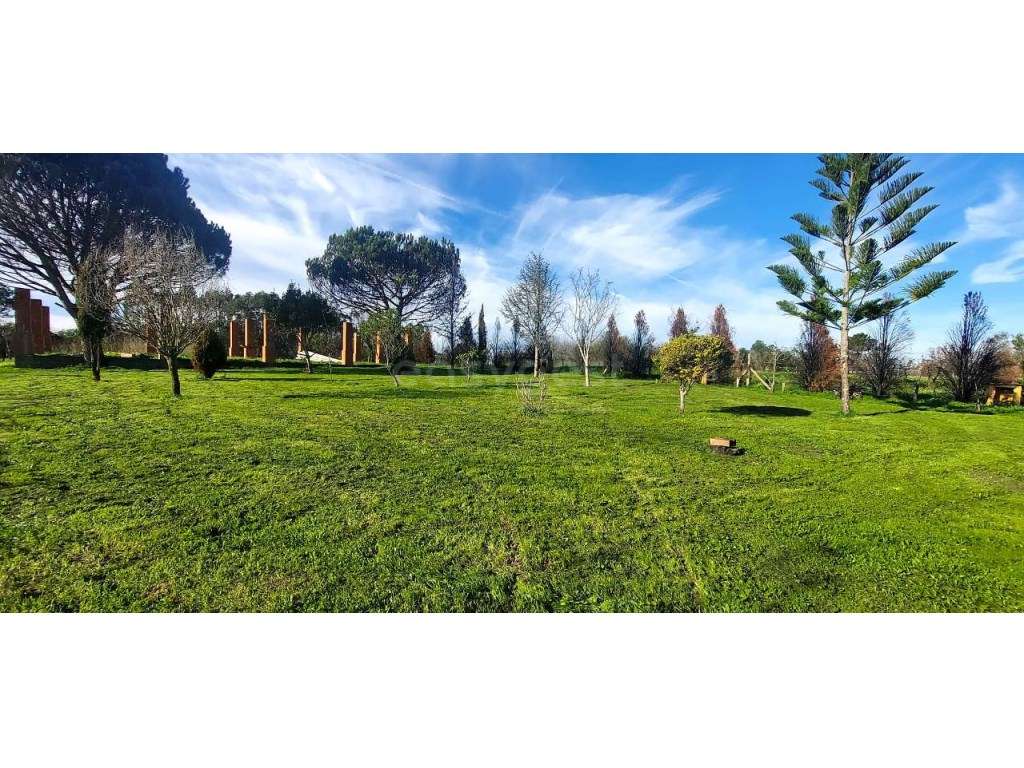 Fantástica Quinta Rúsrica situada em Angeja, Albergaria-a-Velha - Grande imagem: 4/21