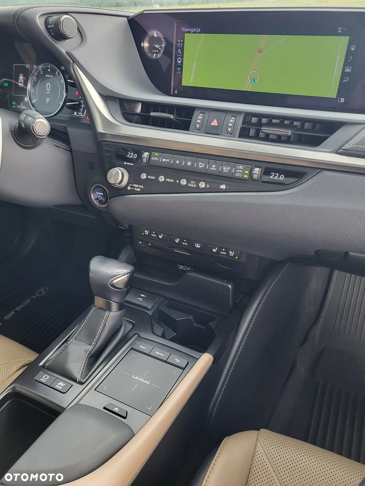 Lexus ES 300h Omotenashi - 12