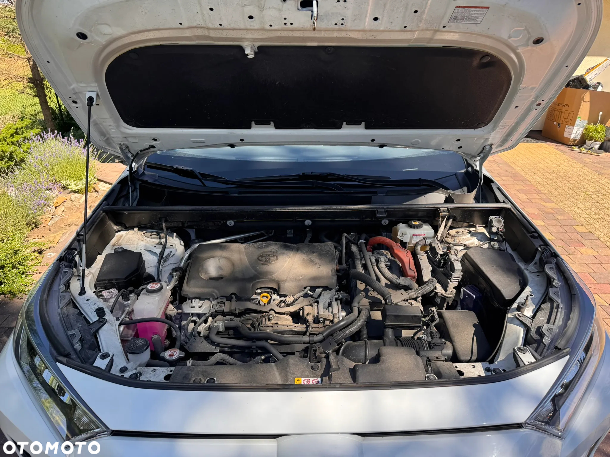 Toyota RAV4 2.0 Comfort 4x4 MS - 3