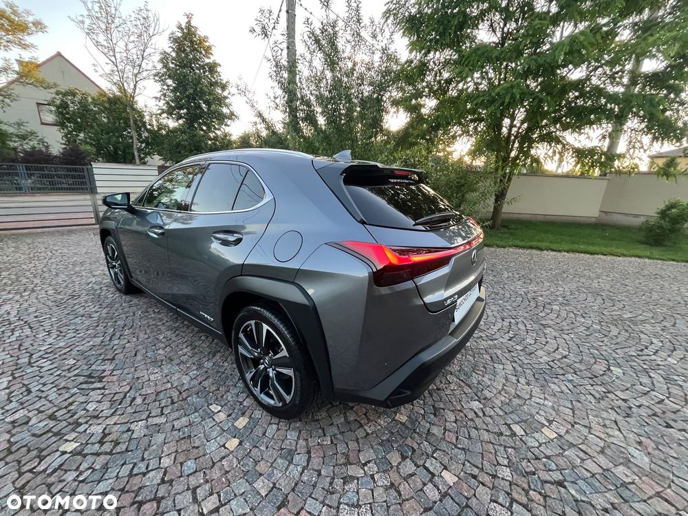 Lexus UX 250h Elegance 2WD - 11