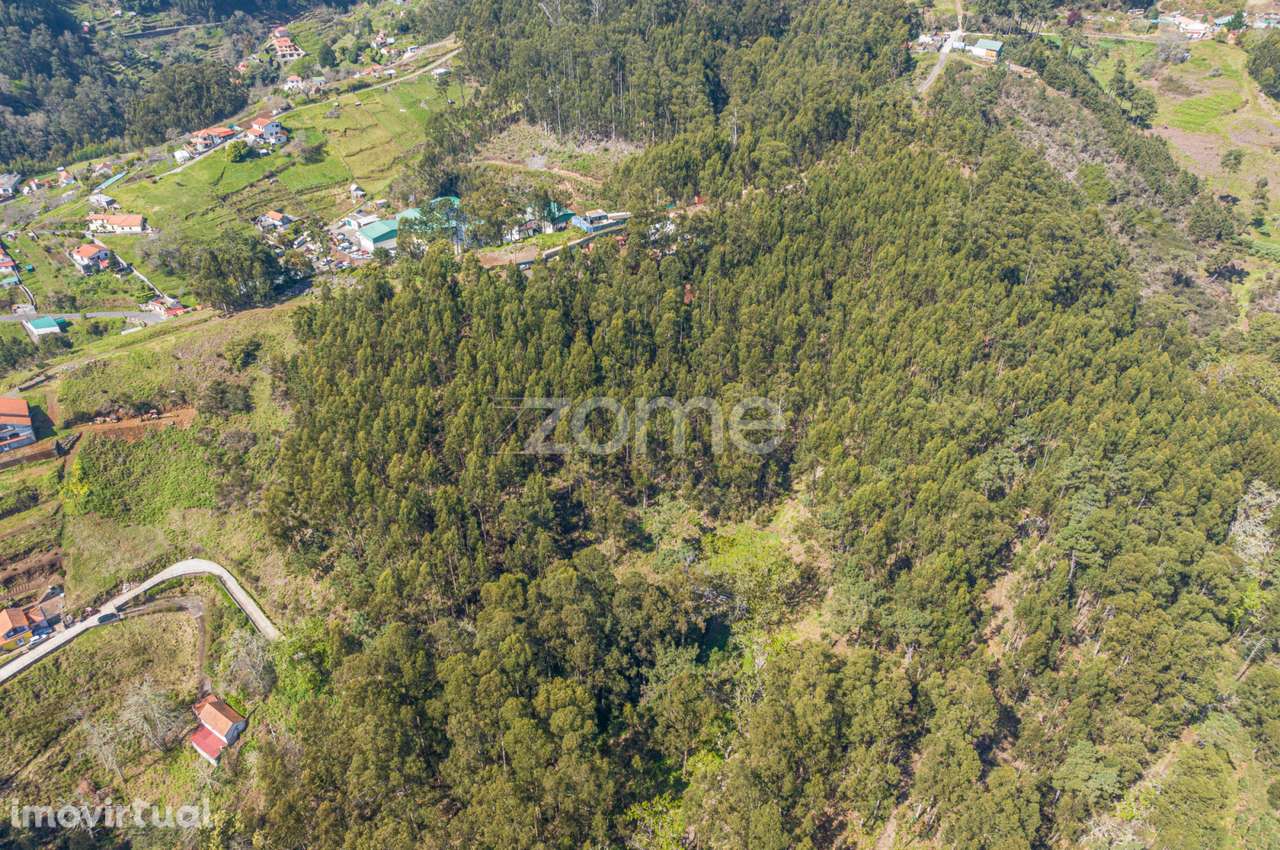 Terreno na Camacha - Grande imagem: 5/8