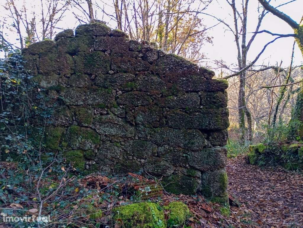 Quinta c/ Ruína - Mosteiro - Grande imagem: 3/23