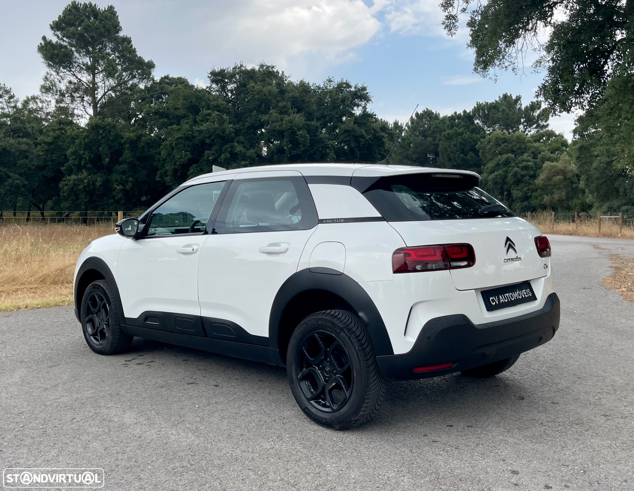 Citroën C4 Cactus 1.5 BlueHDi Feel - 8