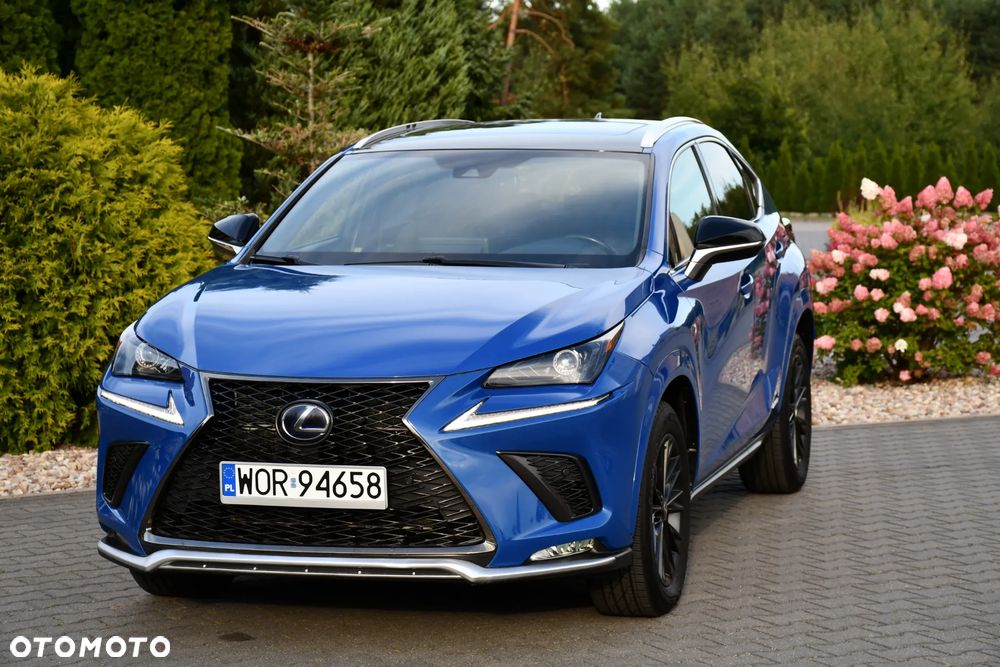Lexus NX 300h E-FOUR F SPORT - 3