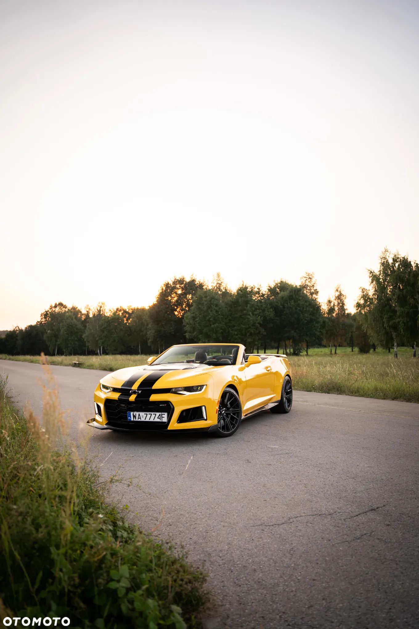 Chevrolet Camaro - 1