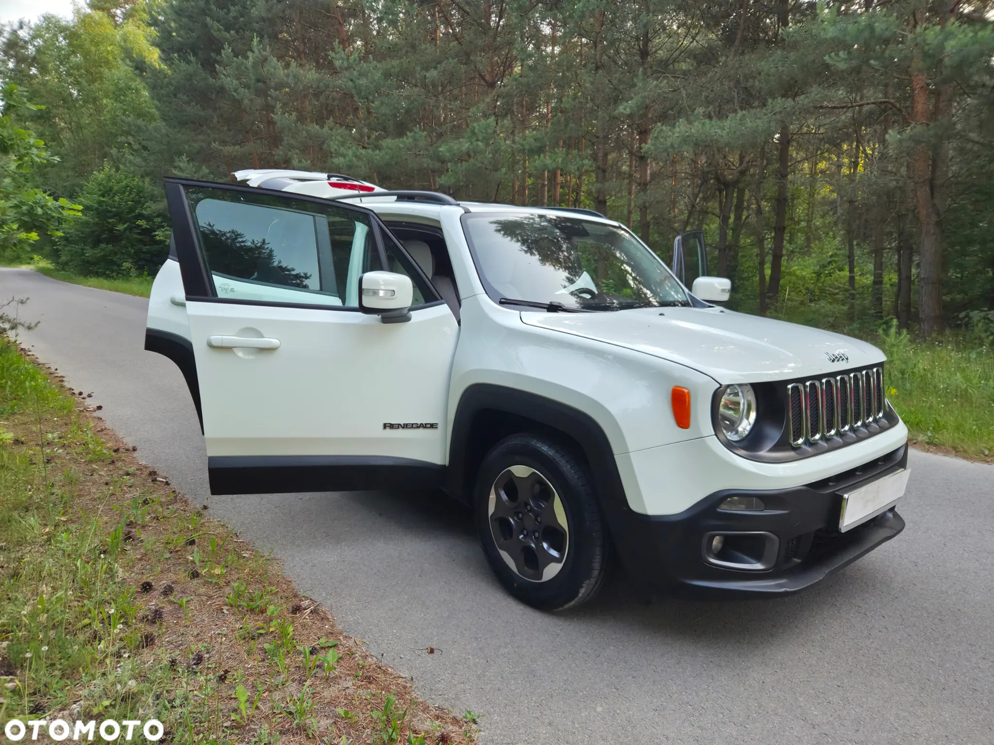 Jeep Renegade 1.4 MultiAir DSG Business Line - 18